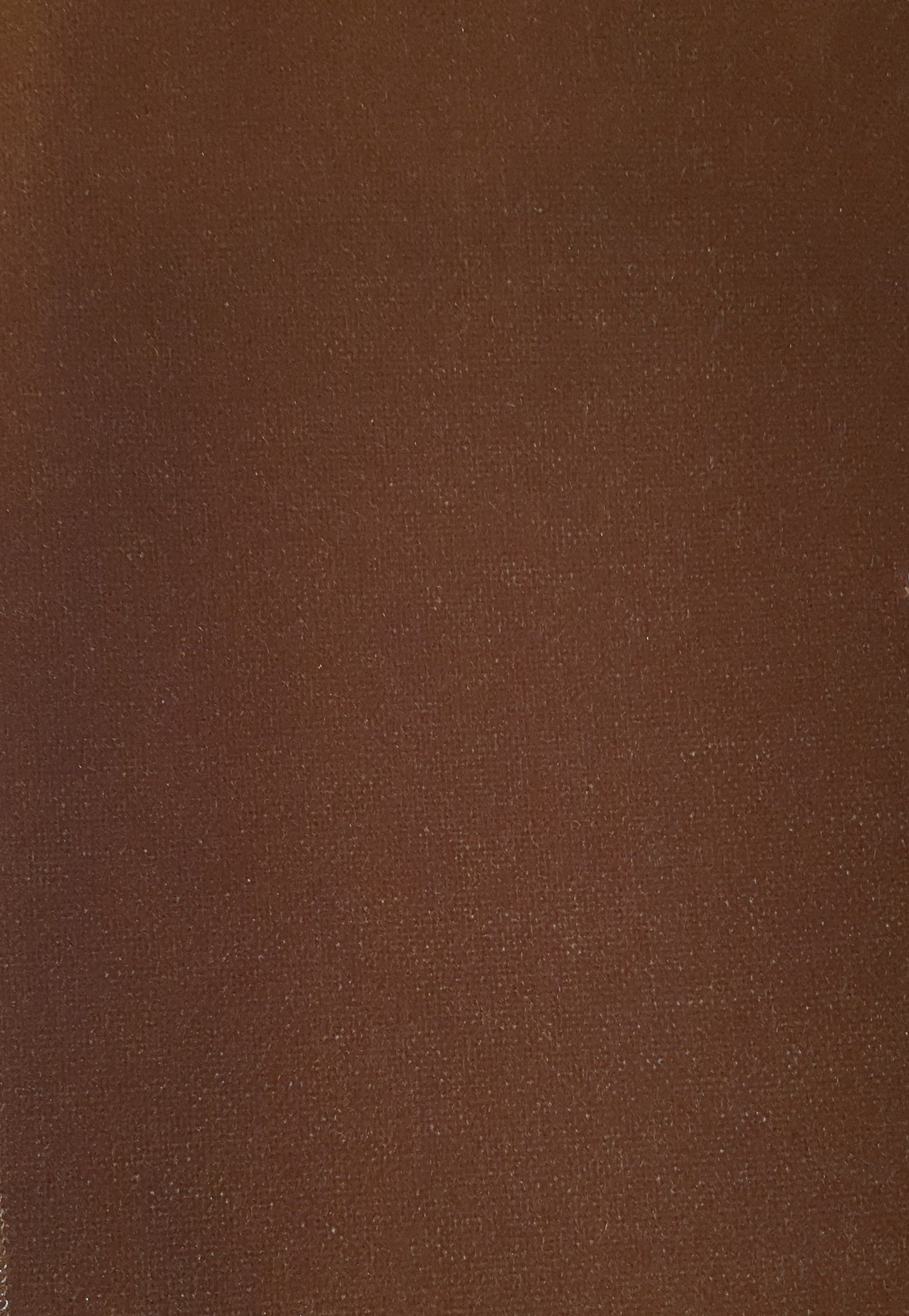 Topvelours 1101 RAL.nr.: 8014 Art.nr.:125924